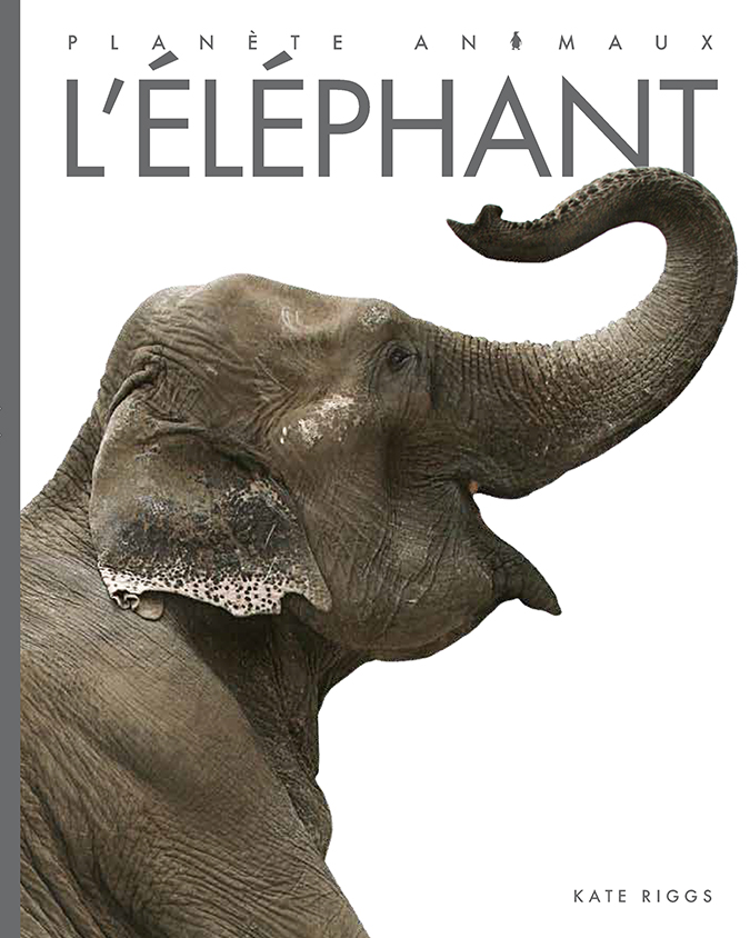 Cover Art for L'éléphant
