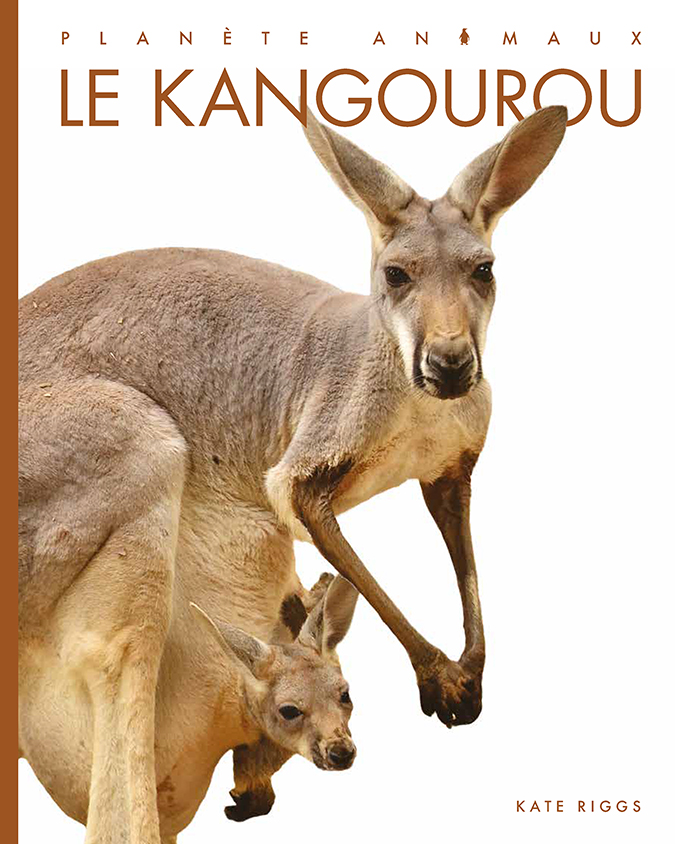 Cover Art for Le kangourou