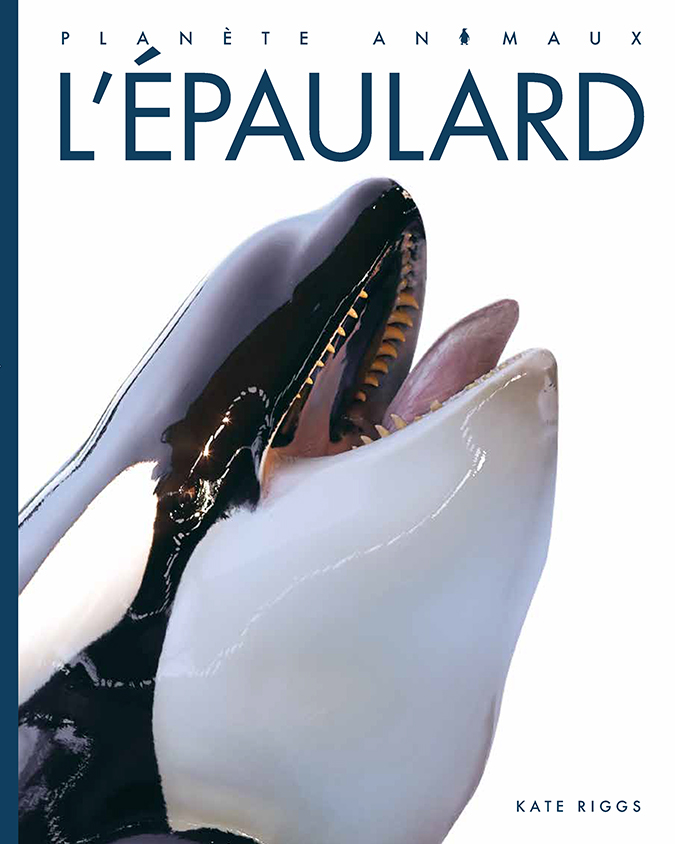 Cover Art for L'épaulard