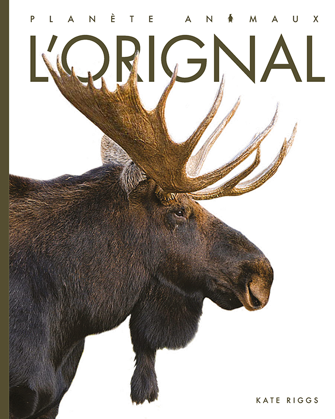 Cover Art for L'orignal
