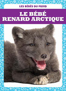 Cover Art for Le bébé renard arctique