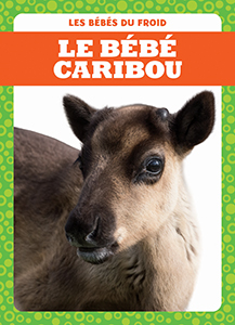 Cover Art for Le bébé caribou