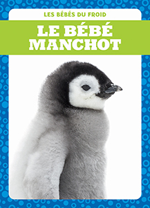 Cover Art for Le bébé manchot
