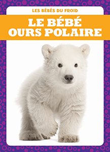 Cover Art for Le bébé ours polaire