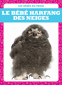 Cover Art for Le bébé harfang des neiges