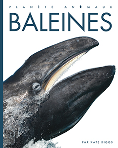 Cover Art for Baleines