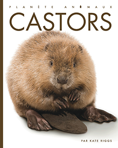 Cover Art for Castors