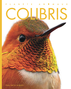 Cover Art for Colibris