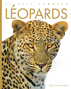Cover Art for Léopards