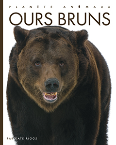 Cover Art for Ours bruns